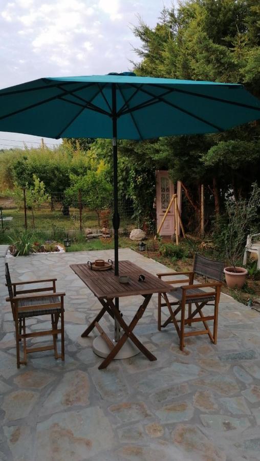 Villa Tiny House By The Sea Nea Skioni Exterior foto